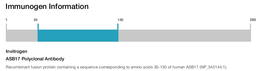 ASB17 Polyclonal Antibody
