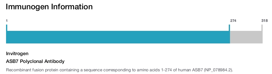 ASB7 Polyclonal Antibody