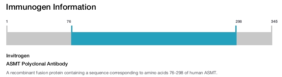 ASMT Polyclonal Antibody