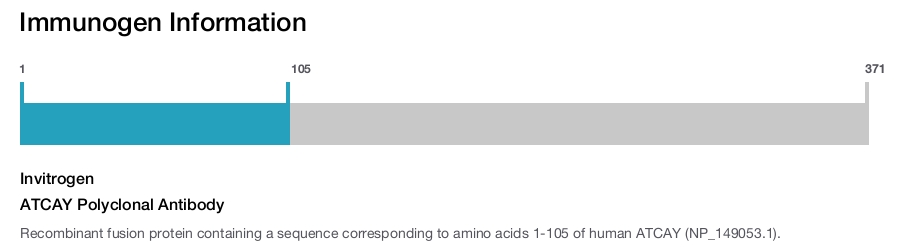 ATCAY Polyclonal Antibody