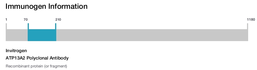 ATP13A2 Polyclonal Antibody