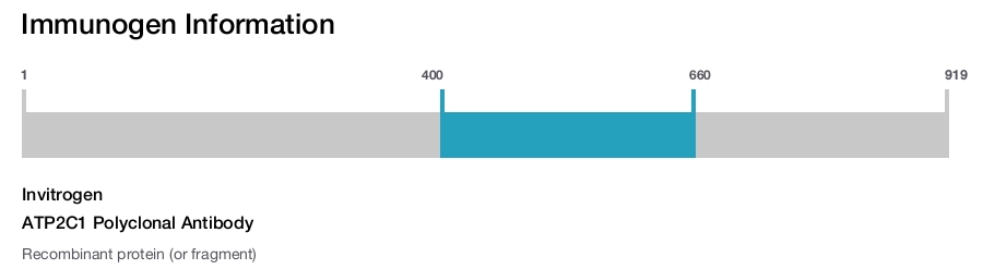 ATP2C1 Polyclonal Antibody