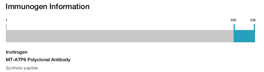 MT-ATP6 Polyclonal Antibody