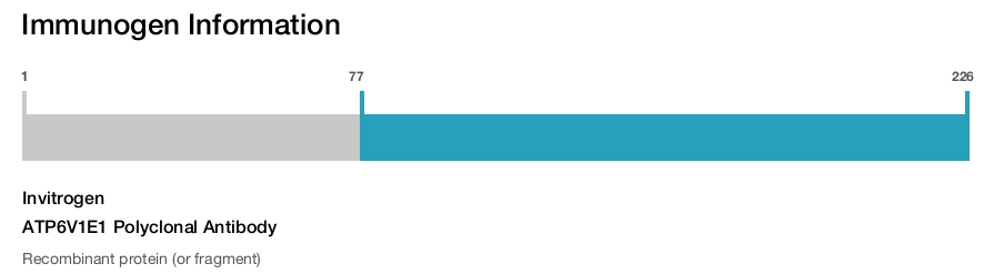 ATP6V1E1 Polyclonal Antibody
