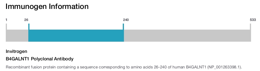 B4GALNT1 Polyclonal Antibody