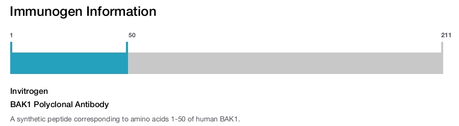 BAK1 Polyclonal Antibody