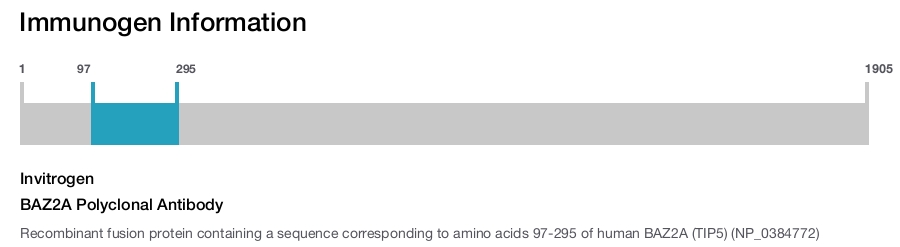 BAZ2A Polyclonal Antibody