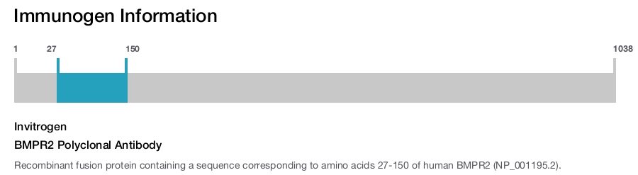 BMPR2 Polyclonal Antibody