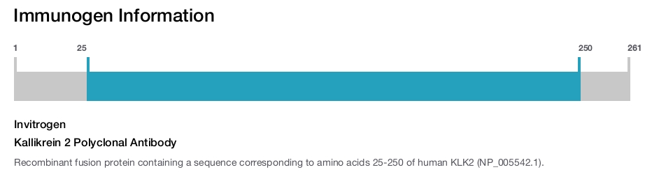 Kallikrein 2 Polyclonal Antibody