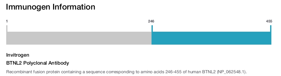 BTNL2 Polyclonal Antibody