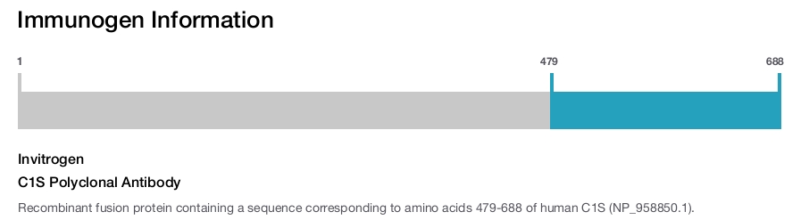 C1S Polyclonal Antibody