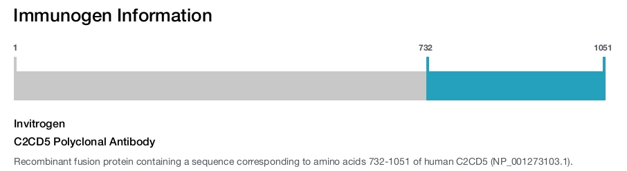 C2CD5 Polyclonal Antibody