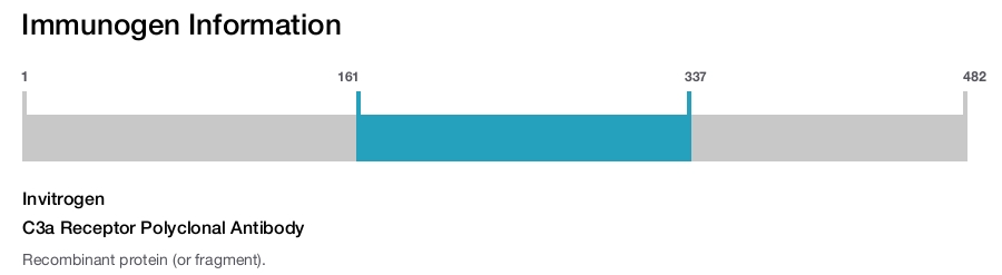 C3a Receptor Polyclonal Antibody