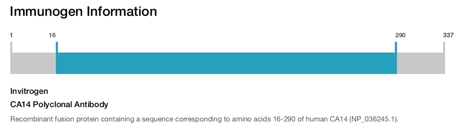 CA14 Polyclonal Antibody