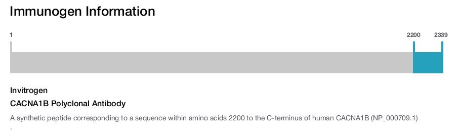 CACNA1B Polyclonal Antibody