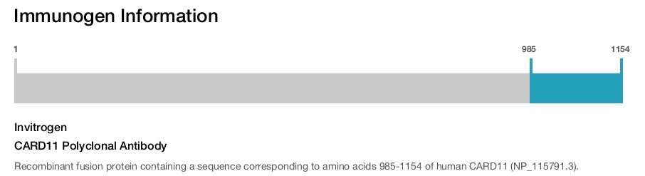 CARD11 Polyclonal Antibody