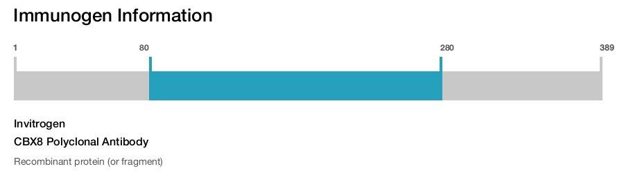 CBX8 Polyclonal Antibody