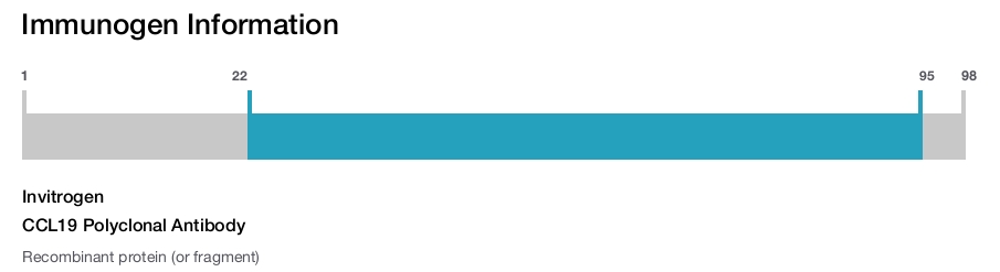 CCL19 Polyclonal Antibody
