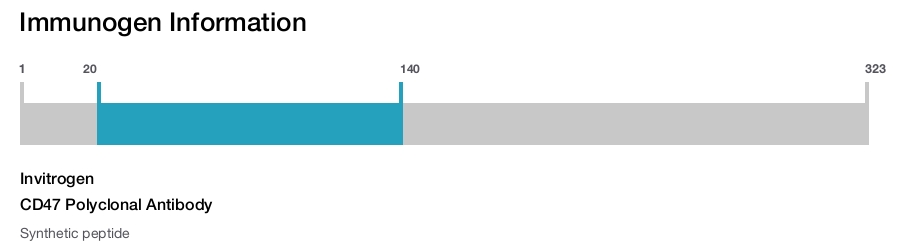 CD47 Polyclonal Antibody
