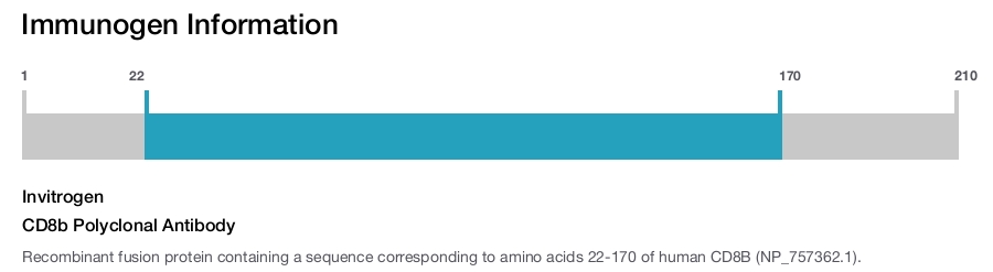 CD8b Polyclonal Antibody