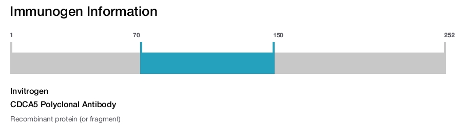 CDCA5 Polyclonal Antibody