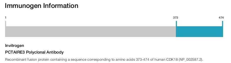 PCTAIRE3 Polyclonal Antibody