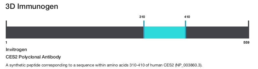 CES2 Polyclonal Antibody