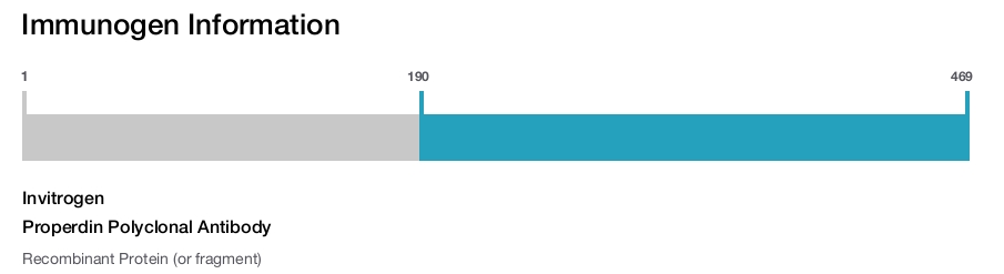 Properdin Polyclonal Antibody