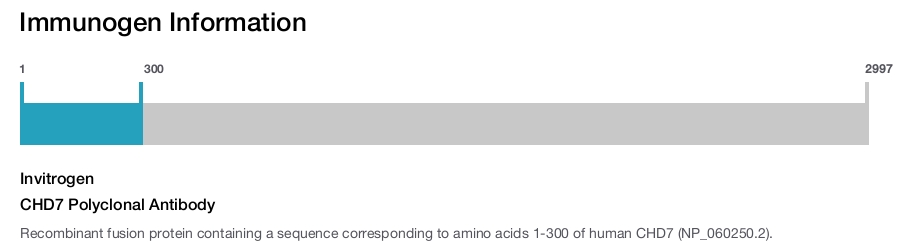 CHD7 Polyclonal Antibody