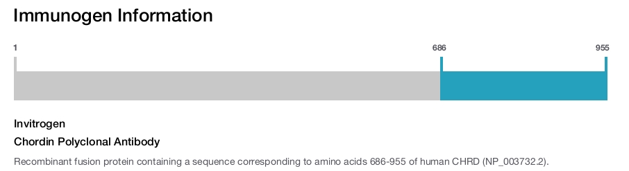 Chordin Polyclonal Antibody