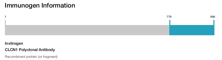 CLCN1 Polyclonal Antibody