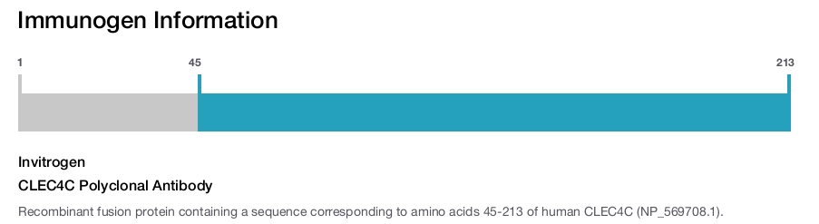CLEC4C Polyclonal Antibody