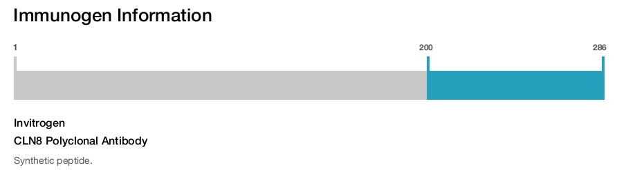 CLN8 Polyclonal Antibody