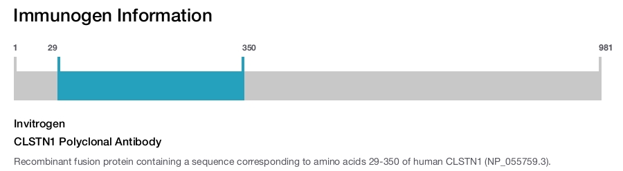 CLSTN1 Polyclonal Antibody