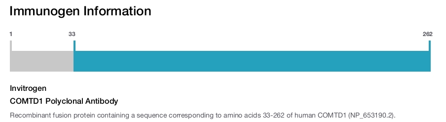 COMTD1 Polyclonal Antibody