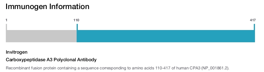 Carboxypeptidase A3 Polyclonal Antibody
