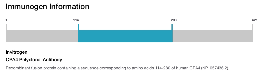 CPA4 Polyclonal Antibody