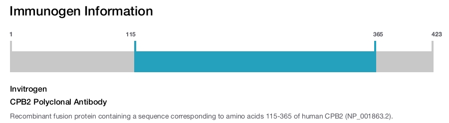 CPB2 Polyclonal Antibody