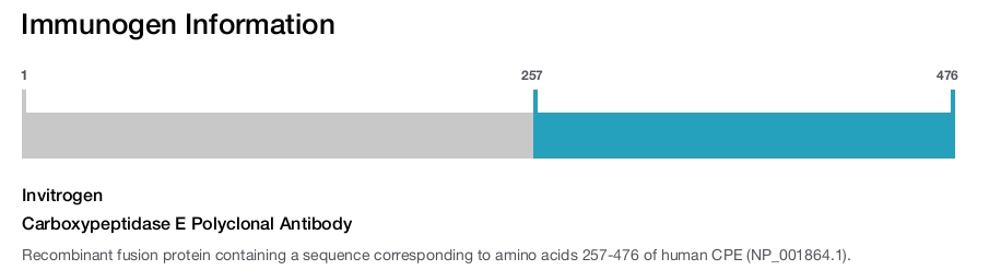Carboxypeptidase E Polyclonal Antibody