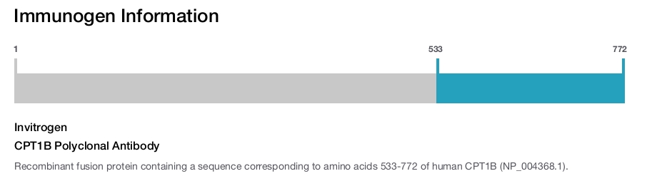 CPT1B Polyclonal Antibody