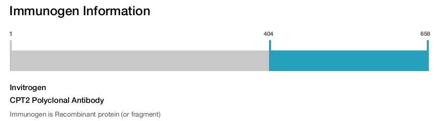 CPT2 Polyclonal Antibody