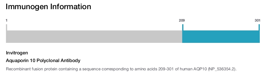 Aquaporin 10 Polyclonal Antibody