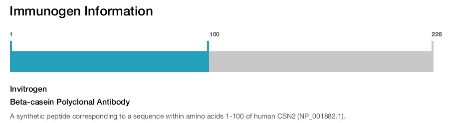 Beta-casein Polyclonal Antibody