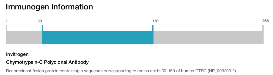Chymotrypsin-C Polyclonal Antibody