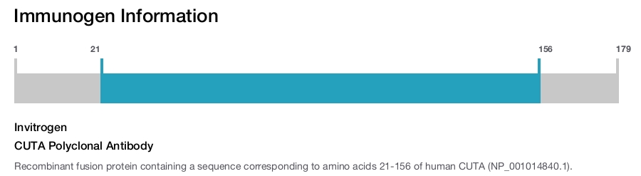 CUTA Polyclonal Antibody