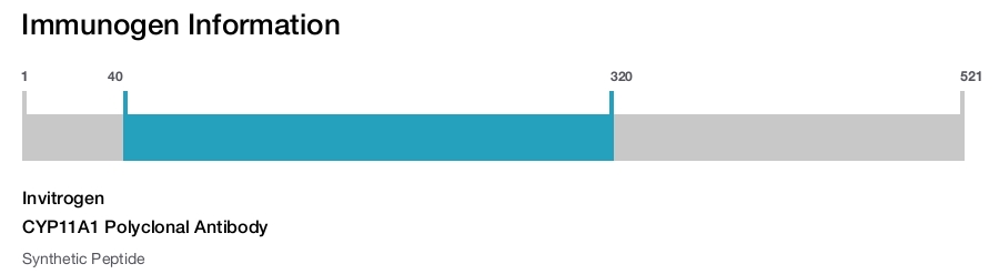 CYP11A1 Polyclonal Antibody