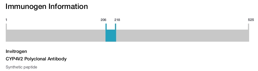 CYP4V2 Polyclonal Antibody