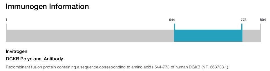 DGKB Polyclonal Antibody