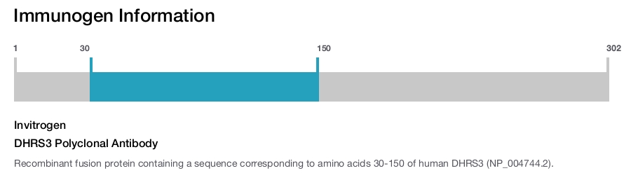 DHRS3 Polyclonal Antibody