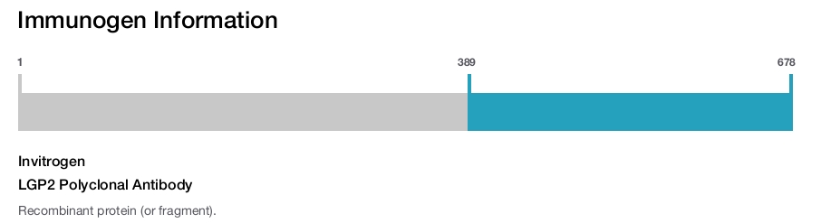 LGP2 Polyclonal Antibody